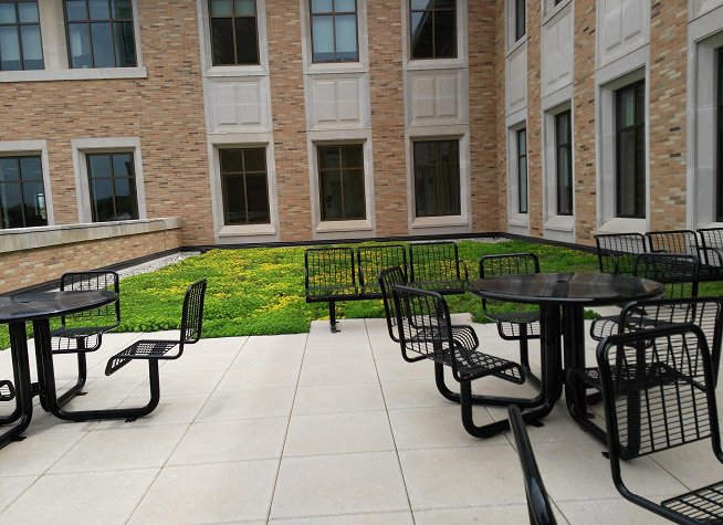 Grand Valley State University - Pew Campus photo