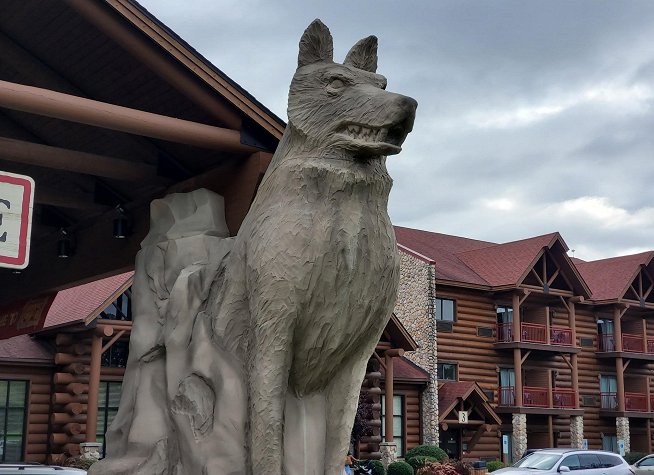 Great Wolf Lodge Williamsburg photo