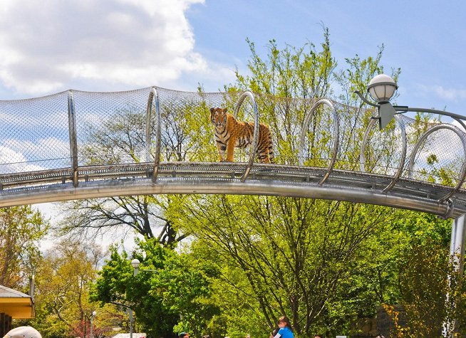 Philadelphia Zoo photo