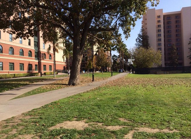 San Jose State University photo