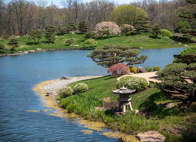 Chicago Botanic Garden photo