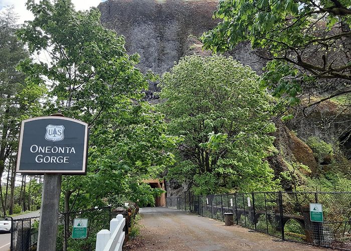Oneonta Gorge photo