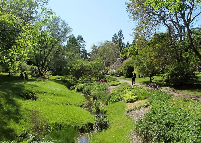 Botanical Garden University of Rostock Rostock Botanical Garden photo