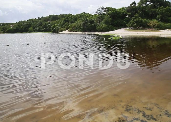 Abaete Park aerial view of Lagoa do Abaete | Stock Video | Pond5 photo