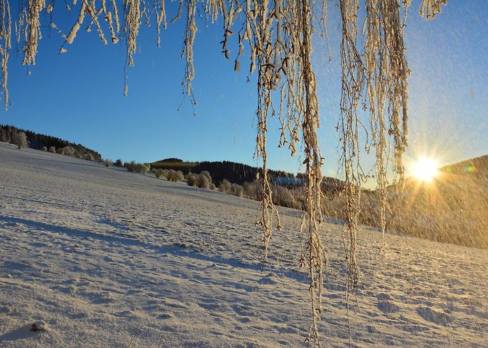 Pirstingerkogellift Huberhof im Almenland: Farm / Apartment Sankt Kathrein Am Offenegg ... photo