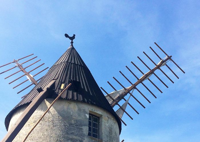 moulin de vensac Le sentier du Marais du Gua | Médoc Atlantique photo