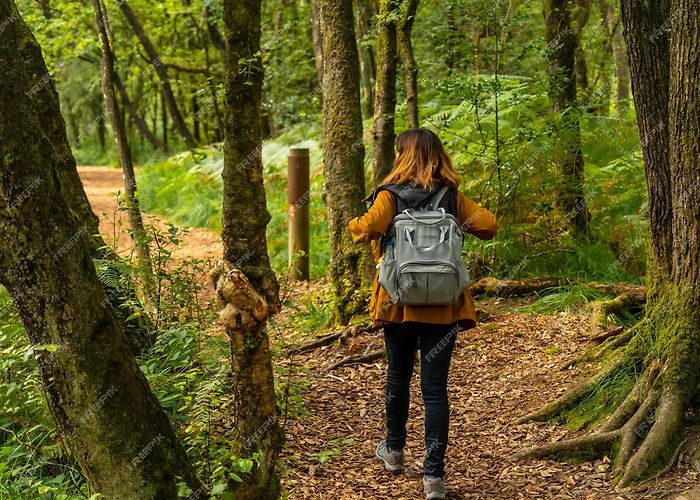 Brocéliande Forest Premium Photo | A young woman trekking on lake paimpont in the ... photo