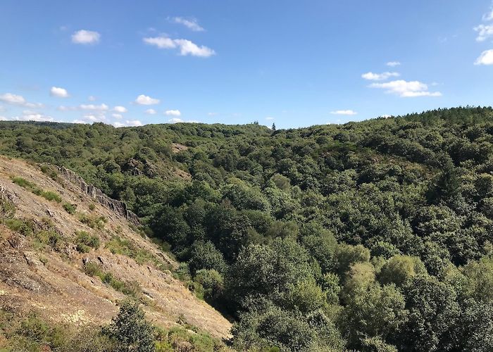 Brocéliande Forest Brocéliande forest: for a very nice walk | Puffin Corp photo