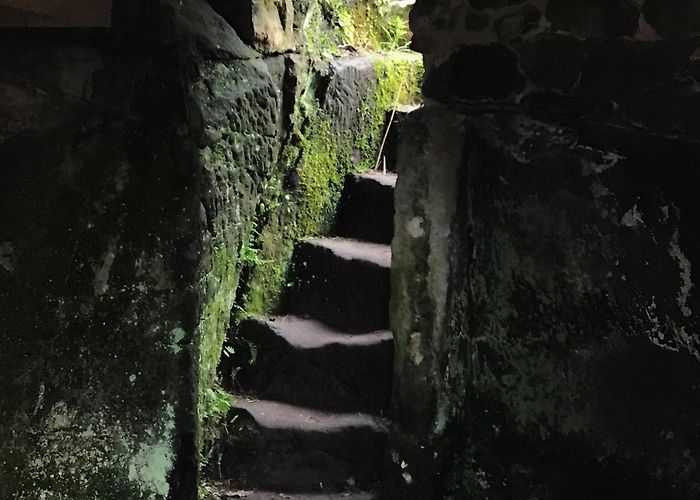 Hawkstone Park Golf Club Hawkstone Park Follies Tours - Book Now | Expedia photo