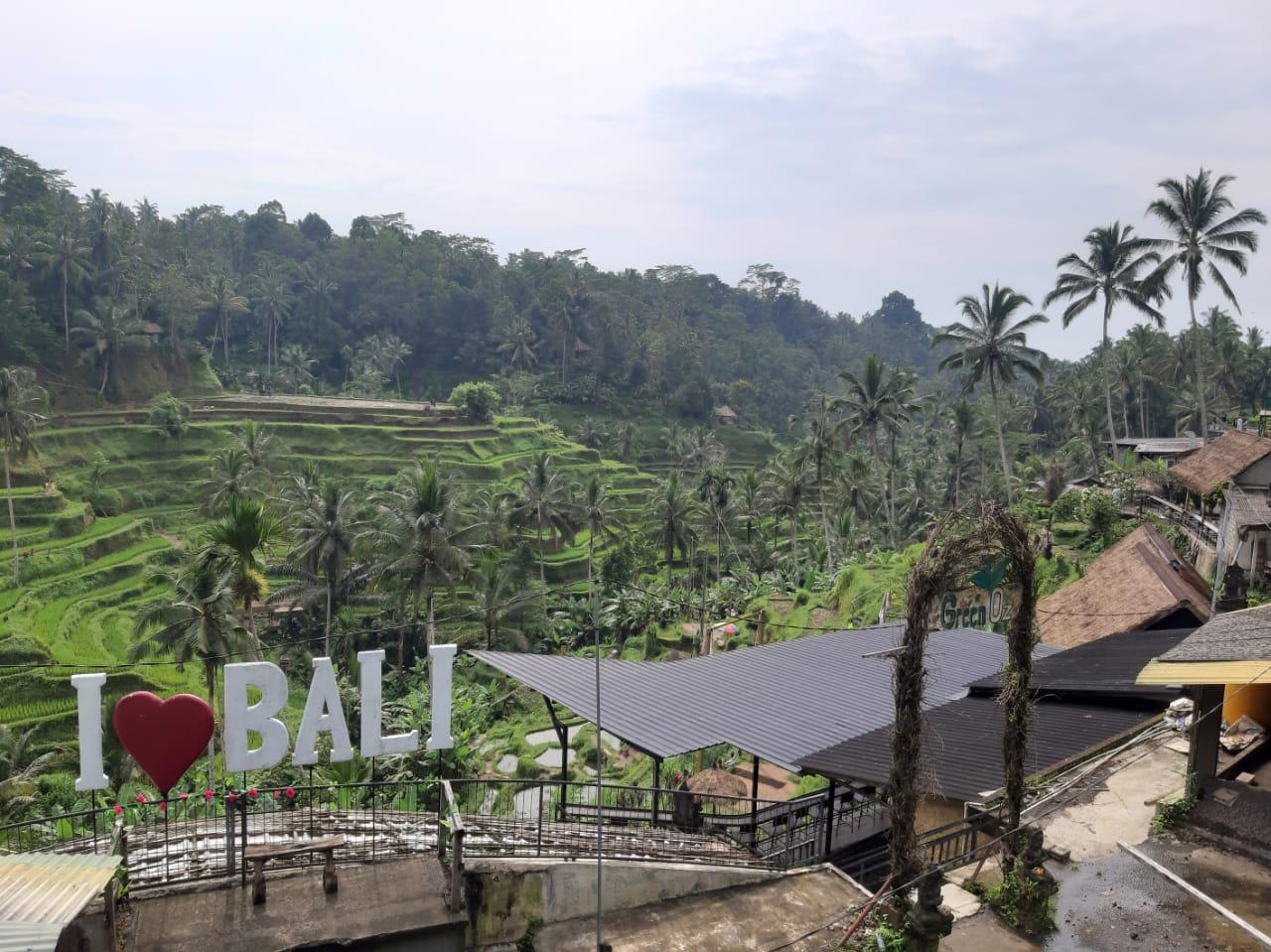 Ubud (Bali) photo
