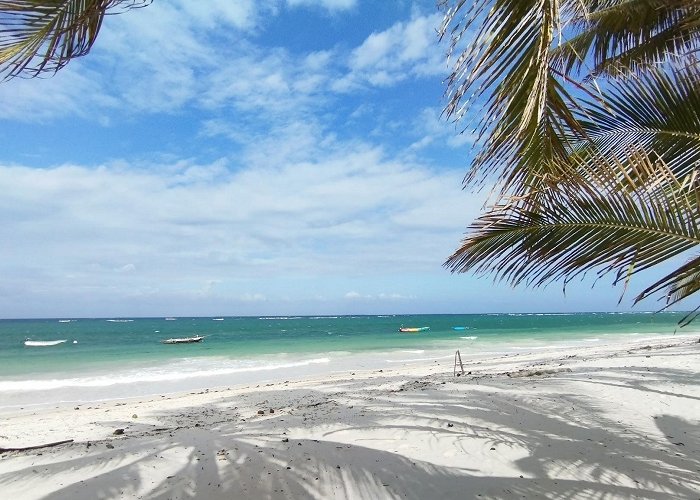 Diani Beach photo