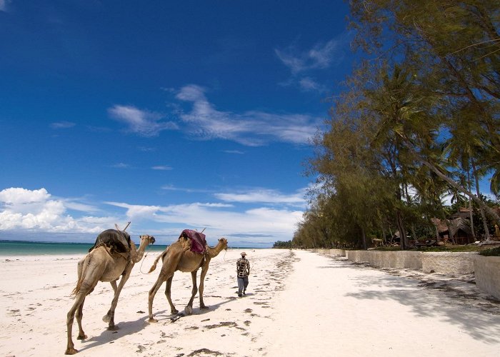 Diani Beach photo