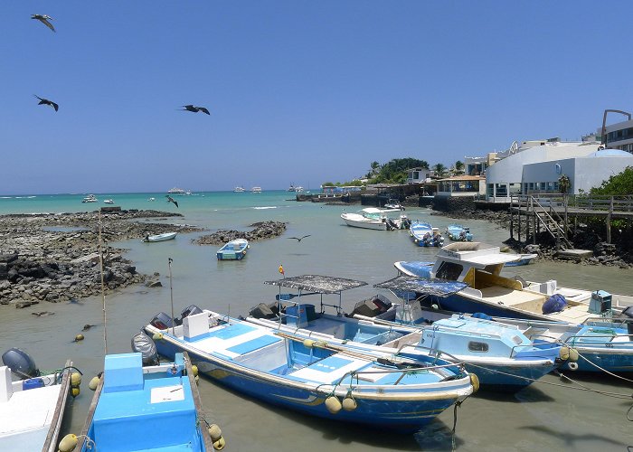 Puerto Ayora (Galapagos Islands) photo