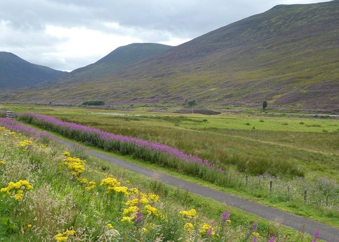 Newtonmore photo