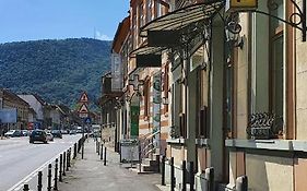 Pension Flamingo Hotel Braşov Exterior photo