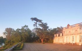 Château de Colliers Muides-sur-Loire Exterior photo