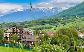 Vila Hora Cu Brazi Hotel Zărneşti Exterior photo