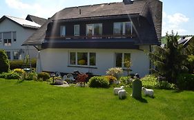 Pension Robin Hood Hotel Willingen  Exterior photo