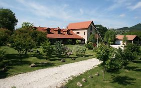 Malomdűlő Farmház Casa de hóspedes Pilisborosjenő Exterior photo