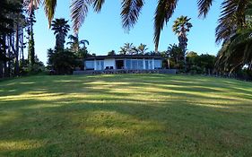 Nikau Apartments Waiheke Island Onetangi Exterior photo