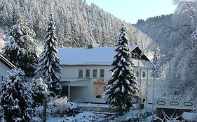 Altes Doktorhaus - Hotel Garni Willingen  Exterior photo