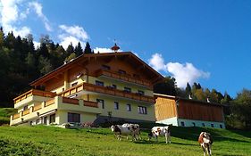 Biobauernhof Aslgut Vila Bad Hofgastein Exterior photo