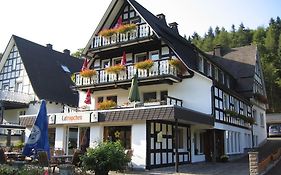 Pension & Ferienhaus Latroepchen Hotel Schmallenberg Exterior photo