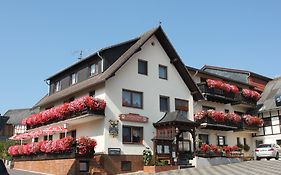 Landgasthof Hotel Sauer Willingen  Exterior photo