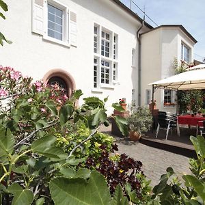 Bio-Weingut, Gaestehaus Und Kraeuterhof Hotel Flomborn Exterior photo