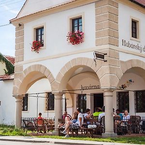 Habánský dům Hotel Dolni Vestonice Exterior photo