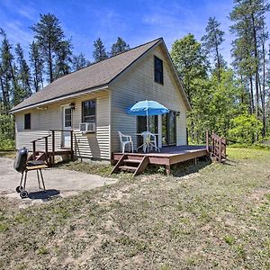 Secluded Irons Cabin With 5-Acre Yard, Deck, Grill! Vila Exterior photo