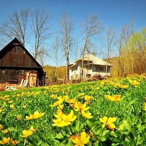 Agropensiunea Tarina Apartamento Rosia Montana Exterior photo