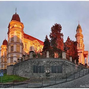 Старовинні Апартаменти У Центрі Міста Uzhhorod Exterior photo