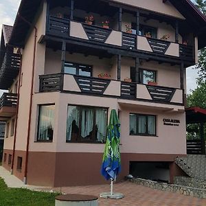 Casa Alesia Bucovina Hotel Gura Humorului Exterior photo