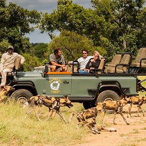 Kambaku Safari Lodge Game ReserveTimbavati Exterior photo