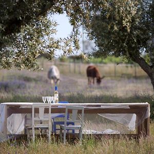 Quinta Dos Doze Sobreiros - Quarto Sol Acomodação com café da manhã Ferreira Do Alentejo Exterior photo