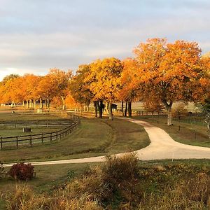 Haras Du Vignault Le Bucher Acomodação com café da manhã Salbris Exterior photo