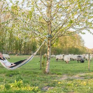 Pipowagen Lidewei Groningen Westerwolde Unieke Ligging Met Eigen Tuin En Vrij Uitzicht Over Veld Naar Natuurgebied Acomodação com café da manhã Onstwedde Exterior photo