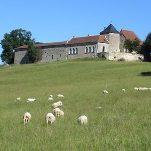 Nature Et Piscine Au Sommet Du Perigord Acomodação com café da manhã Tourtoirac Exterior photo