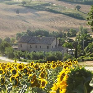 "La Casa Degli Ulivi Art B&B" Ripe Exterior photo