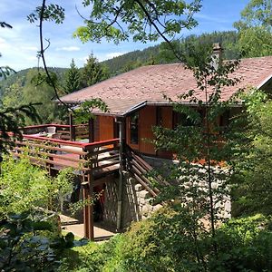 Chalet Braunkopf Alsace Vila Muhlbach-sur-Munster Exterior photo