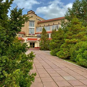 Hotel Almaz Minsk Exterior photo