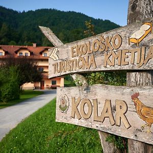 Tourist Farm Kolar Vila Ljubno Exterior photo