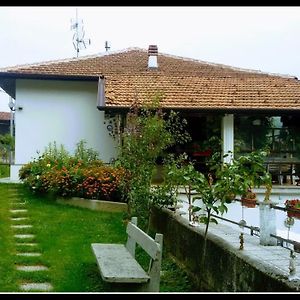 Al Cios Lago Maggiore Vila Orino Exterior photo