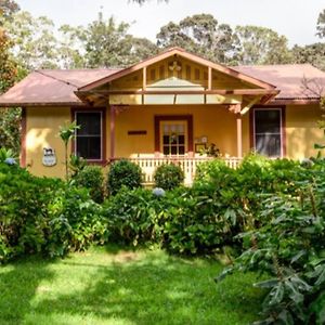 Tutu'S Place By Volcano Heritage Cottages Exterior photo