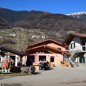 Adda Vegia Vila Buglio in Monte Exterior photo