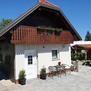 Charming Tiny House "Pr Basc" In Ljubljana With Cozy Terrace And Barbecue Area Vila Exterior photo