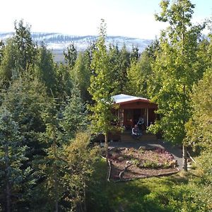 Bakkakot 1 - Cozy Cabins In The Woods Vila Akureyri Exterior photo