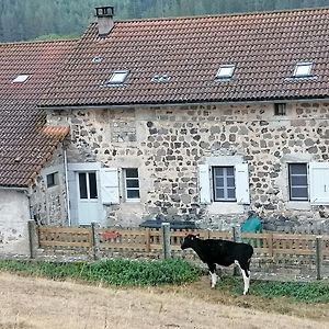 Gite A La Ferme Le Malzieu-Ville Exterior photo