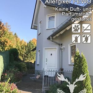 Duft- Und Parfuemfreie Allergiker-Fewo Apartamento Mertendorf Exterior photo